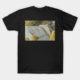 Cotter First Spill T-Shirt